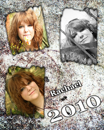 2010 copy.jpg