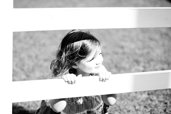 marley 2011