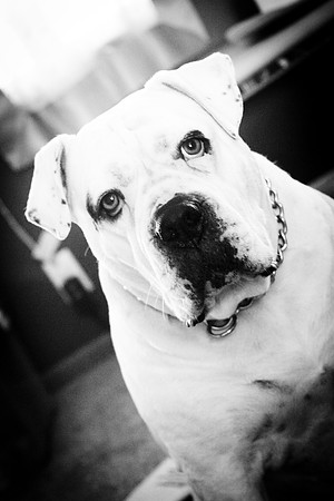 20111210-IMG_0050