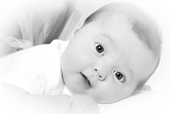 IMG_7517-2