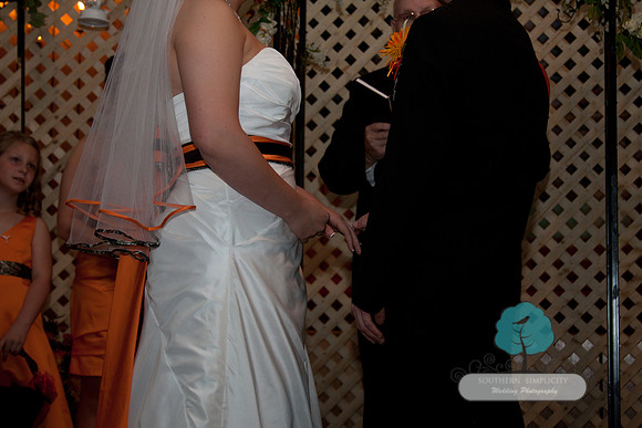 20120331-IMG_3730