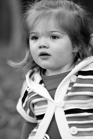 IMG_2529-2