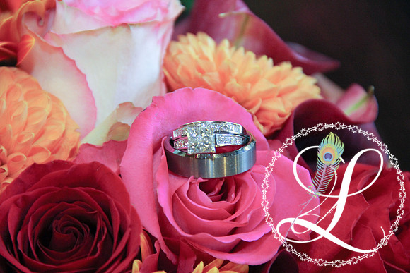IMG_0231