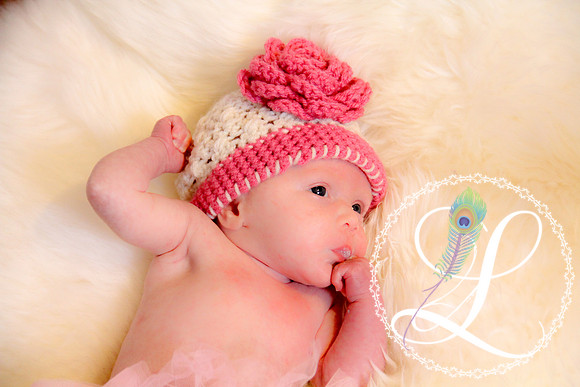 20121114-IMG_1020