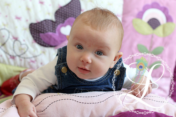 20130405-IMG_0345