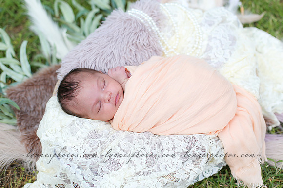 IMG_7827