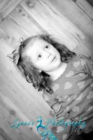 20120204-IMG_0506-2