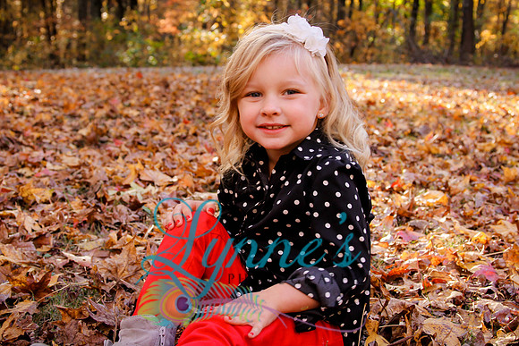 20131103-IMG_0393