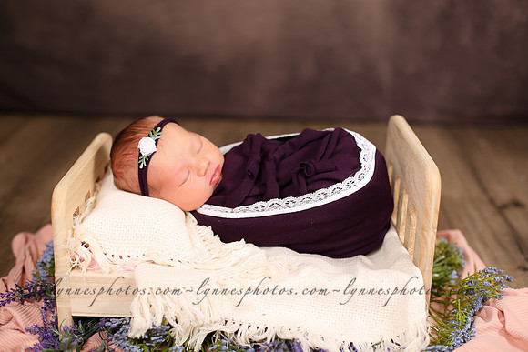 IMG_9353