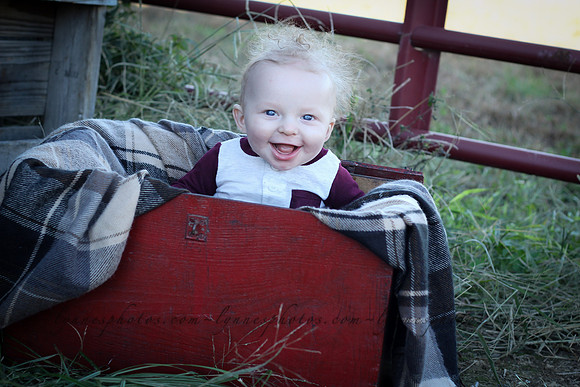 IMG_8266