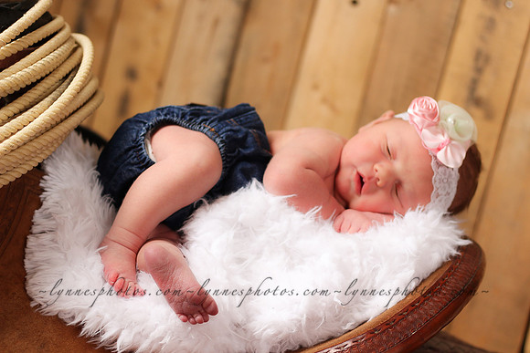 IMG_5453-2