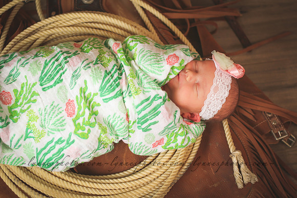 IMG_5504