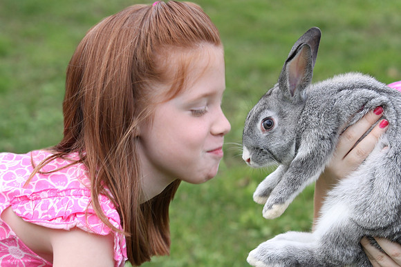 kiss bunny