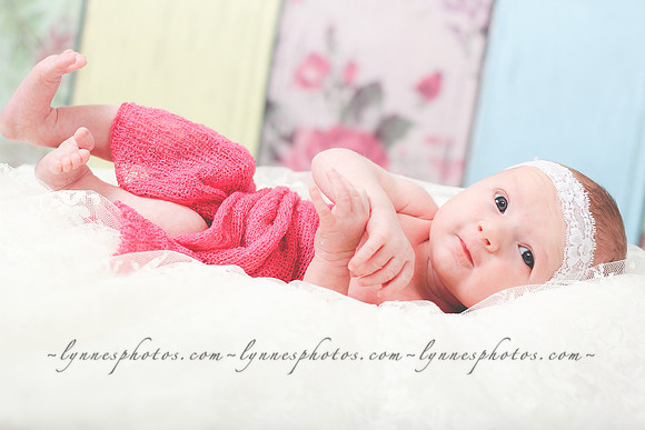 IMG_9781-2