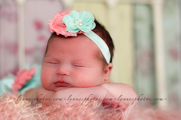 IMG_7308-Edit-2