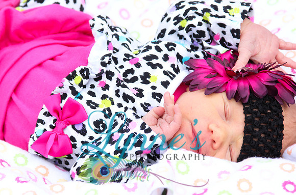 untitled shoot-1709