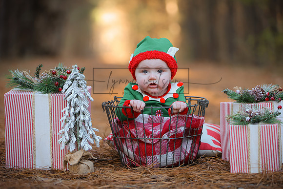 AH4A1385