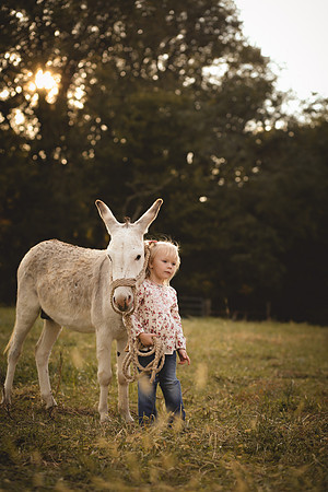 IMG_7294