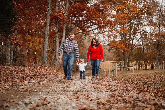 IMG_3798