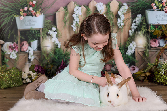 AH4A1577