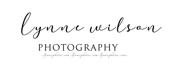 lynnesphotography
