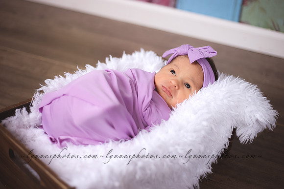 IMG_0466