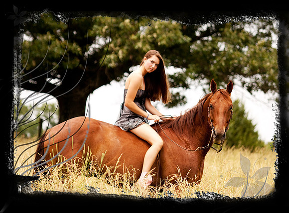 horse