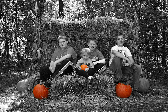 pumpkins.jpg