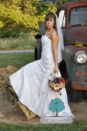 DSC_0520