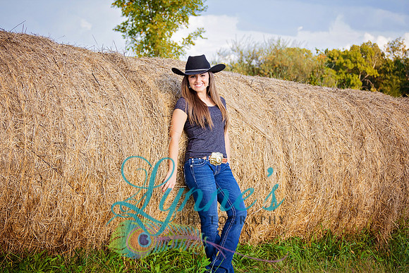 hay