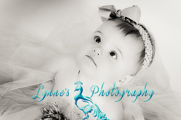 20120304-IMG_2210