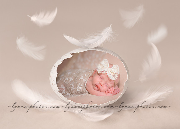 Eggshell_Side Digital Background copy
