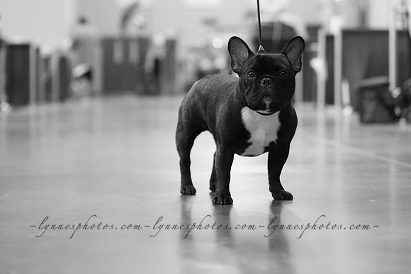 IMG_5144-2