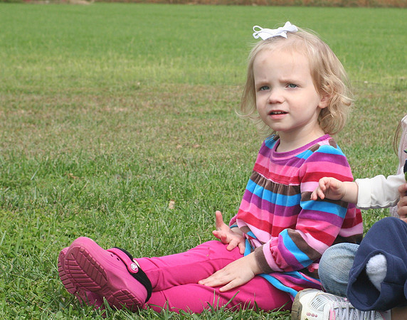 IMG_8074 - Copy.JPG