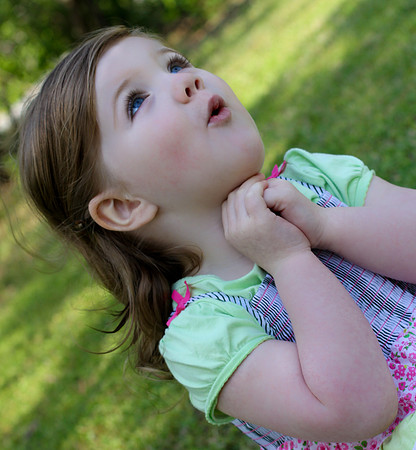 marley 2011 (11)