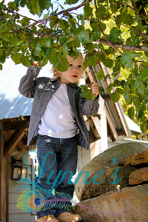 untitled shoot-1182