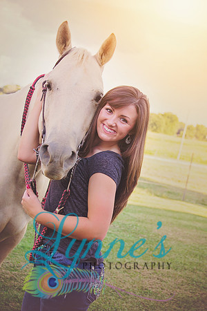 alli horse