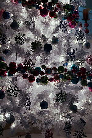 20111210-IMG_7489