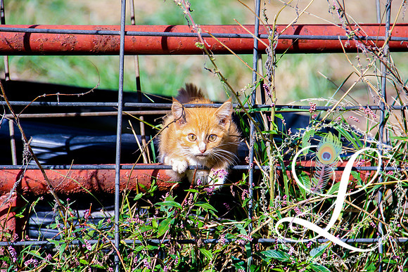 20131006-IMG_0615