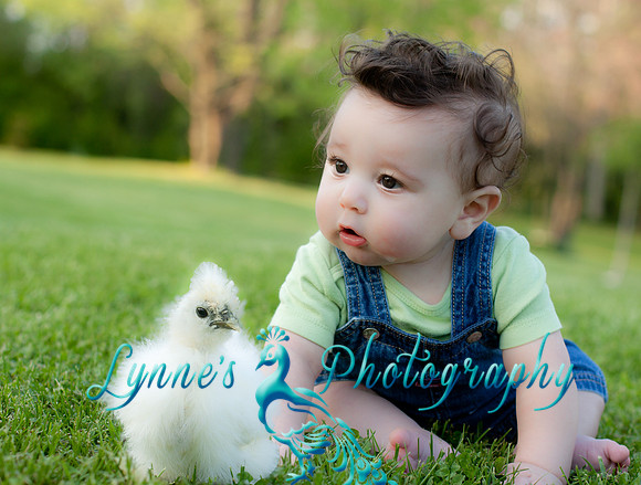 20120330-IMG_3277-Edit