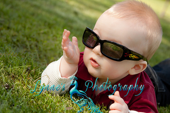 20120324-IMG_2956