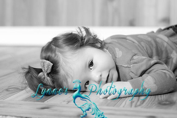 20120204-IMG_0459-2