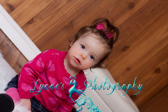 20120204-IMG_0448