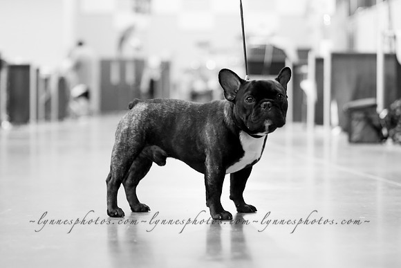 IMG_5142